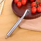 Scraper Slicer Grater Coconut Shaver Fish Scaler Coconut Meat Remover