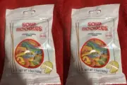 SOUR NOODLES - Asian Theme Pack of Gummy SOUR NOODLES- LOT OF 2 BAGS
