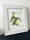 Watercolour Lemon Tree. Botanical Illustration. Art Decor.