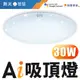 【DanceLight 舞光】LED 30W Ai智慧吸頂燈 APP調光調色/聲控/壁切 (支援Ok Google)