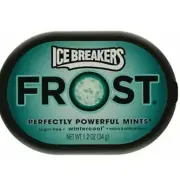 Ice Breakers Frost Mints Winter Cool Sugar Free 1.2oz. 1 Pack Discontinued New