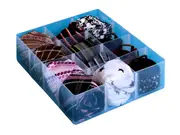 Large Tray 12 Compartments for Really Useful Box