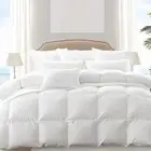 Dreamz 500GSM All Season Goose Down Feather Filling Duvet in Double Size