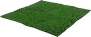 TINEASUR Artificial Grass Rug Realistic Moss Lawn DIY Fake Grass Carpet Outdoor Patio Rug Artificial Turf Mat Home Decor