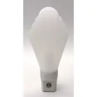 在飛比找蝦皮購物優惠-朝日電工LED皇冠小夜燈 光控式自動型 LED-406A