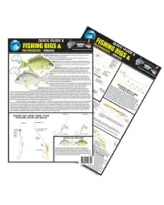 Quick Guide 8 - Bream