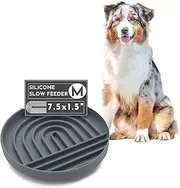 Slow Feeder Dog Bowl: The Slowdown Bowl is A Modern, Silicone Puzzle Bowl & Lick Mat. Slow Eating, Stop Gulping, Take It Easy. Dishwasher Safe. (Charcoal)…