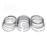 NPR PISTON RING SET STD 5 GROOVE FOR NISSAN SD33T 3.2L Patrol MQ 82-87 TURBO (for: Nissan)