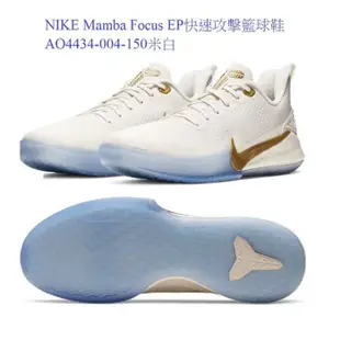 完售 2019 六月 NIKE MAMBA KOBE FOCUS EP 籃球鞋 白金 AO4434-004