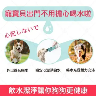 寵惡魔旅行濾水瓶 附濾心更安心 狗貓通用 犬貓外出濾水瓶 寵物用品