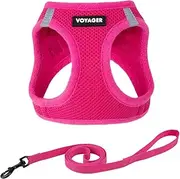 Voyager Step-in Air Cat Leash Harness Set - All Weather Mesh, Step in Vest Harness for Small and Large Cats by Best Pet Supplies - Fuchsia, M (Chest 15-17")