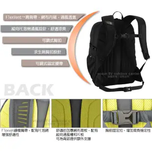 【The North Face】RECON 輕量15吋電腦背包29L.日用休閒後背包/暗櫻桃棕/黃綠黃_CE81