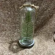 Mikasa Led Greenery Bottle