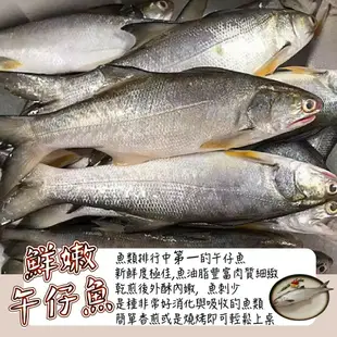 【帥哥魚海鮮】【台灣之光】三去真空包裝 台灣鮮嫩午仔魚4尾組(單尾殺清前500g)