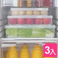 在飛比找momo購物網優惠-【真心良品】艾樂扁型家庭組保鮮盒(3入)