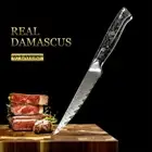 Steak Knife Kitchen Serrated Slicing Meat Beef BBQ Damascus Steel Resin Handle S