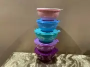 New Tupperware Beautiful Modern Color Set 5 Wonderlier Mixing Bowls 2 and 3 Cups