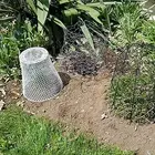 Chicken Wire Cloche Indoor Plant Care Tool Garden Cloches Corrosion Resistant