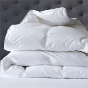 Renee Taylor Deluxe High Loft Microfibre 600GSM Quilt