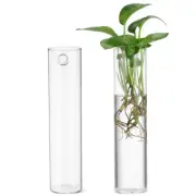 2 Pcs Wall-mounted Hydroponic Vase Planter Indoor Hanging Propagation Stations