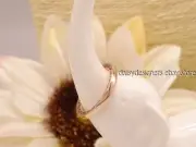 NEW Authentic Pandora Rose CLASSIC HEARTS Ring 54 7 186237 RETIRED