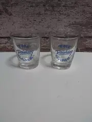 Set Of Two Drinking Game Shot Glasses
