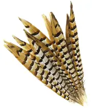 5 Pcs REEVES PHEASANT Natural Feathers 4-10" Halloween/Bridal/Hats/Burlesque