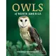 Owls of North America