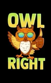 在飛比找博客來優惠-Owl Right: Cute & Funny Owl Ri