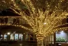 Outdoor Warm White Waterproof Copper Wire Fairy lights LED Solar String Lights