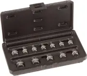 T1000 12 Piece Torx Bit Set,T10-T60, for Automotive Repairs, Cars, Trucks, Motor