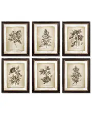 Napa Home & Garden Set of 6 Vintage Floral Prints