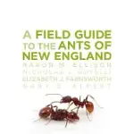 A FIELD GUIDE TO THE ANTS OF NEW ENGLAND