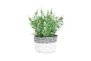 Willow & Silk 26cm Artificial/Faux White-Stem Flower In Basket Plant Home Decor