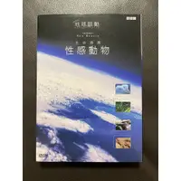 在飛比找蝦皮購物優惠-地球脈動 21: 性感動物二手DVD Planet Eart