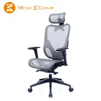 在飛比找PChome24h購物優惠-【Mesh 3 Chair】華爾滋人體工學網椅-附頭枕(銀灰