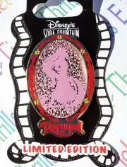 DSF Disney Tangled Rapunzel Stained Glass Silhouette LE 300 Pin #80881