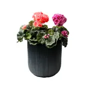 Sill & Sage Blue Egg Ceramic Pot 30cm Home/Garden Decor Indoor/Outdoor Resin