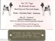 Large Solid Brass Plate Rivet on Collar Harness Horse K-9 Dog Pet ID Tag