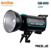Godox QS-300 220V Studio Flash Photo Strobe Light 300Ws Monolight Flash pe66