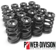 GSC P-D Single Conical Valve Spring Titanium Retainer w/ Springs for Subaru EJ