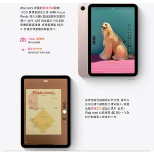 APPLE 2021 iPad mini 8.3吋 64GB WiFi 套組 組合 平板 欣亞