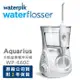 美國Waterpik Aquarius 專業型牙齒保健沖牙機WP-660