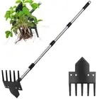 Weed Puller Tool, 2-in-1 Hand Rake and Hoe for Easy Gardening Weeding
