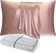 DISANGNI 100% Natural Mulberry Silk Pillow case for Hair and Skin with Hidden Zipper 22 Momme Both Sides Real Silk Pillow Case (1pc Standard Size 20" x26", Pink)