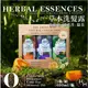 Herbal Essences 草本洗髮露 400ml 3入 綠茶/迷迭香/葡萄柚【Sunny Buy】