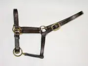 Quality Leather Foal Halter Single Buckle Havana Brass