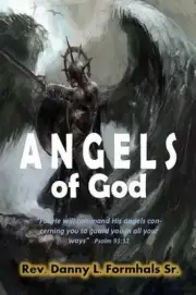 Angels of God by Danny L. Formhals (English) Paperback Book