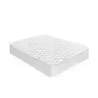 NNEDPE Cool Max Mattress Protector- Queen