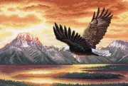 Dimensions Counted Cross Stitch Kit - Silent Flight - 16"X11" New